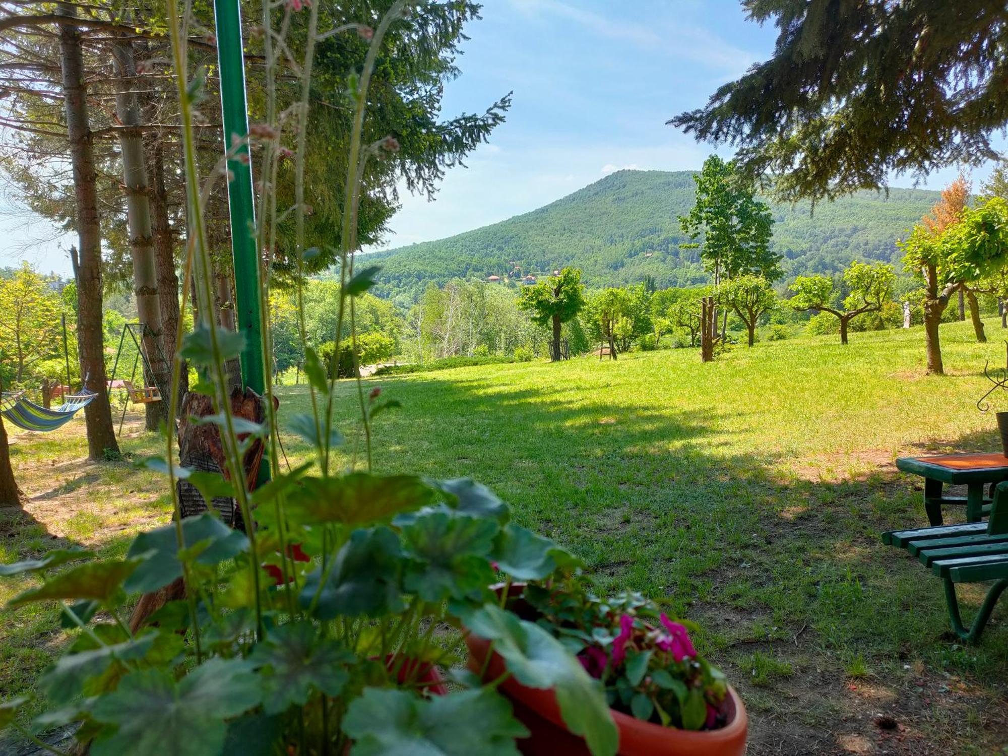 Vila Jezerski Raj Borsko Jezero Exterior foto